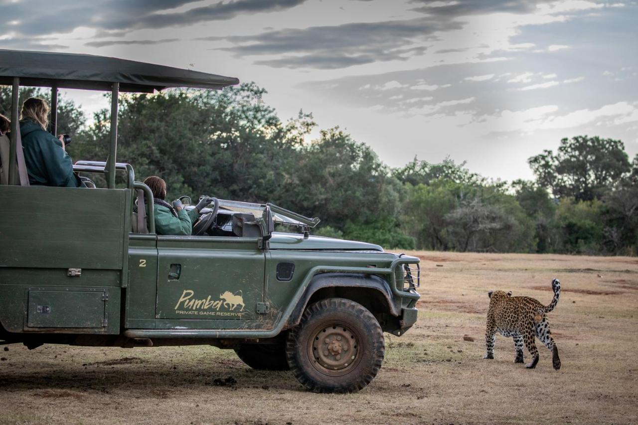 Pumba Private Game Reserve Grahamstown Exterior photo