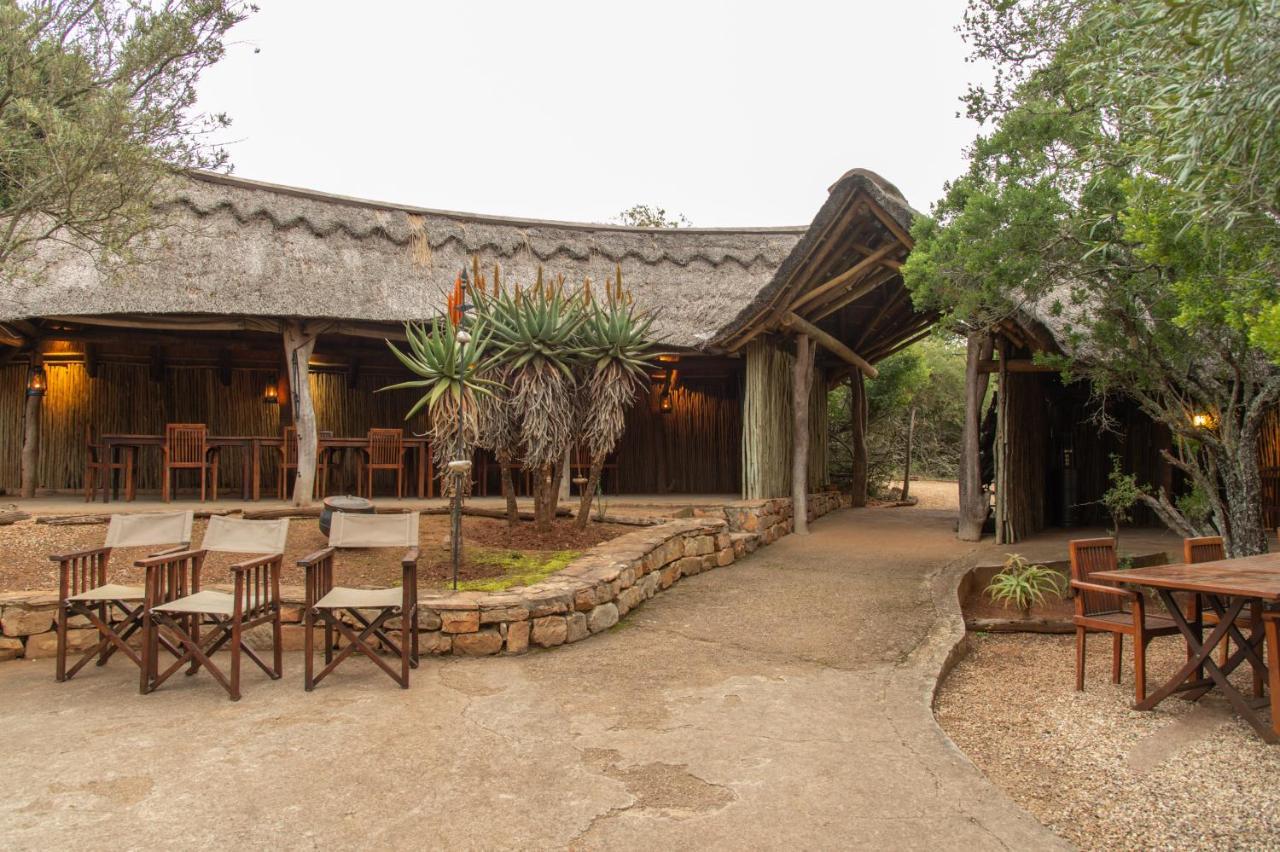Pumba Private Game Reserve Grahamstown Exterior photo